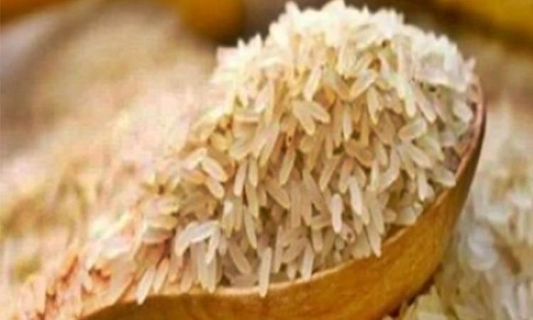 Global-rice-crisis-reminiscent-of-2008-Asian-food-price-scare