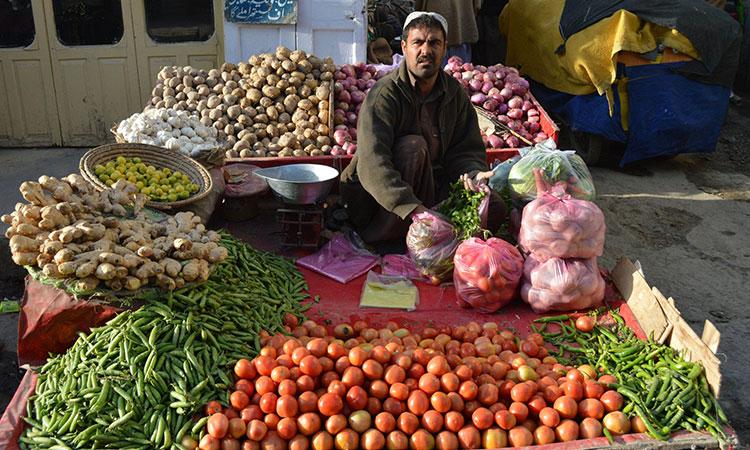 Vegetable-Vendor