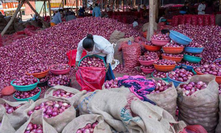 Onion-Vendor