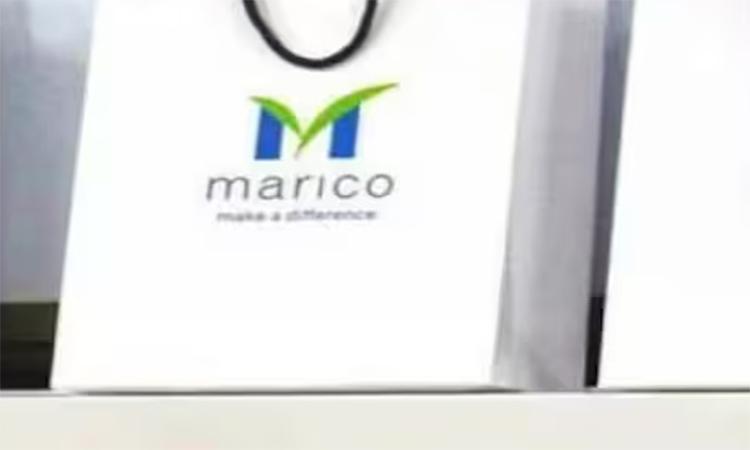 Marico-cracks-over-4-per-cent-after-company-flags-lower-revenue