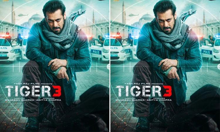 salman-khan-tiger-3-poster