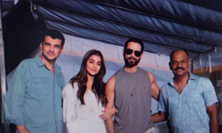 shahid-kapoor-pooja-hedge