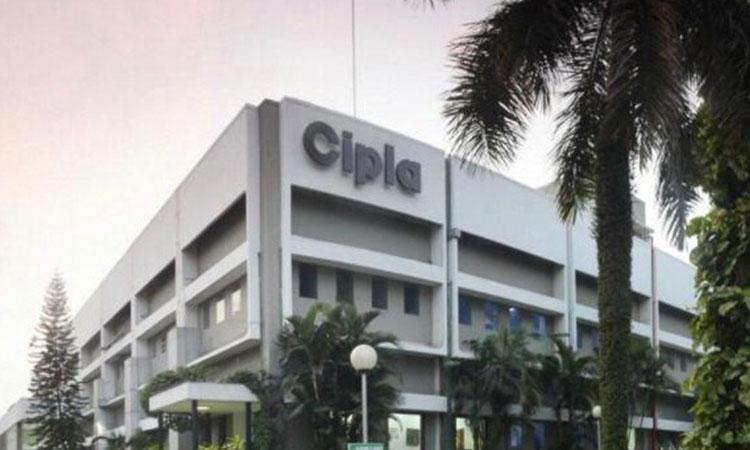 cipla