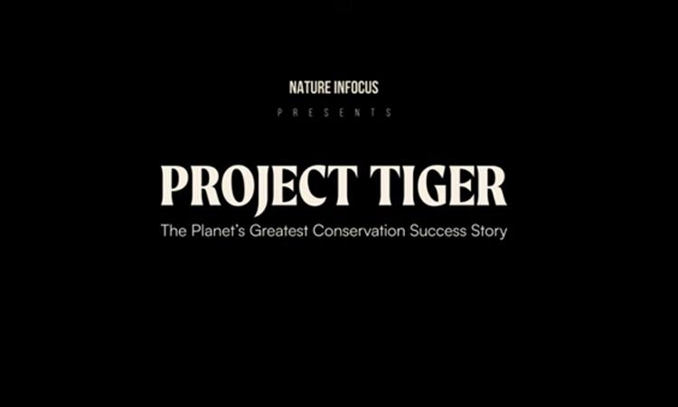 project-tiger