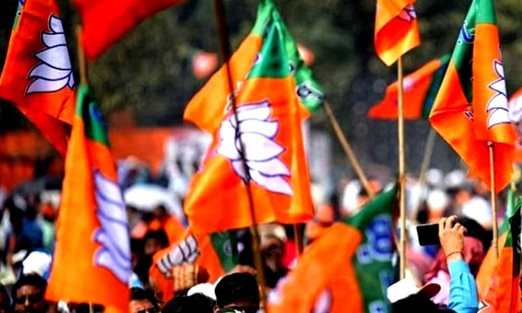 bjp