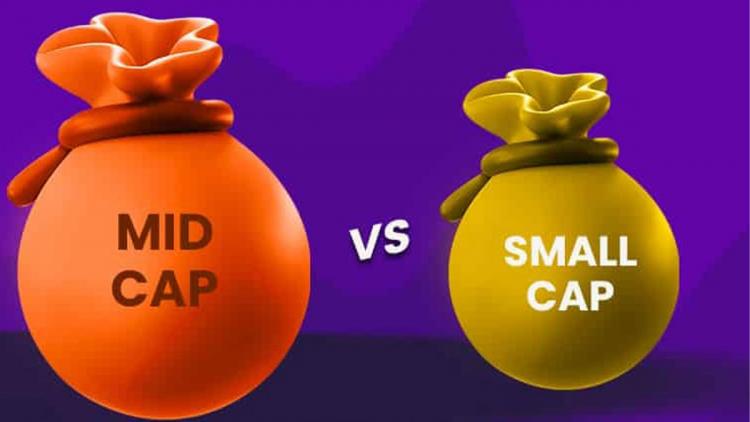 Mid-and-small-cap