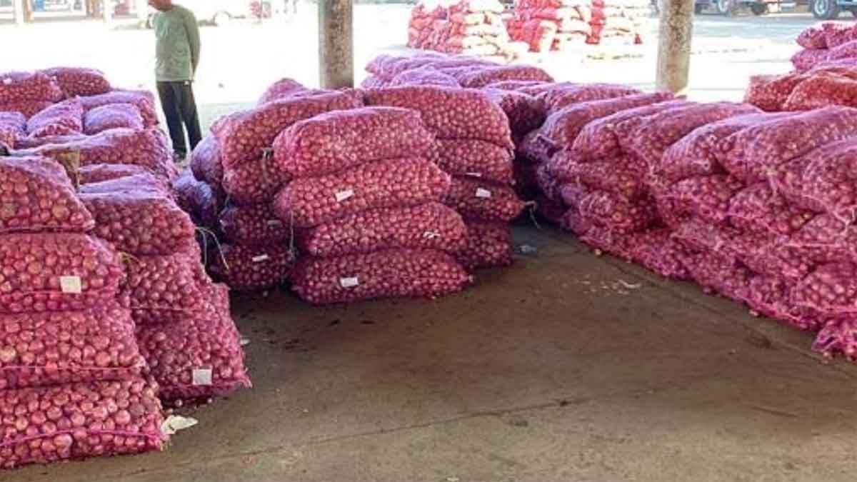 Government's Onion Export Ban Aims to Stabilize Domestic Prices