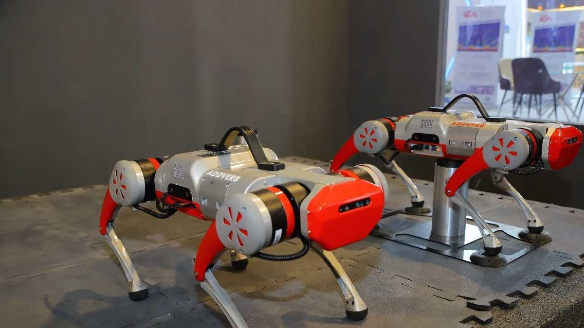 Addverb Introduces India's First Assistive Dog Robot