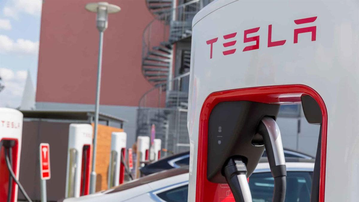 Elon Musk Affirms Tesla's Organic Evolution into the Indian Market