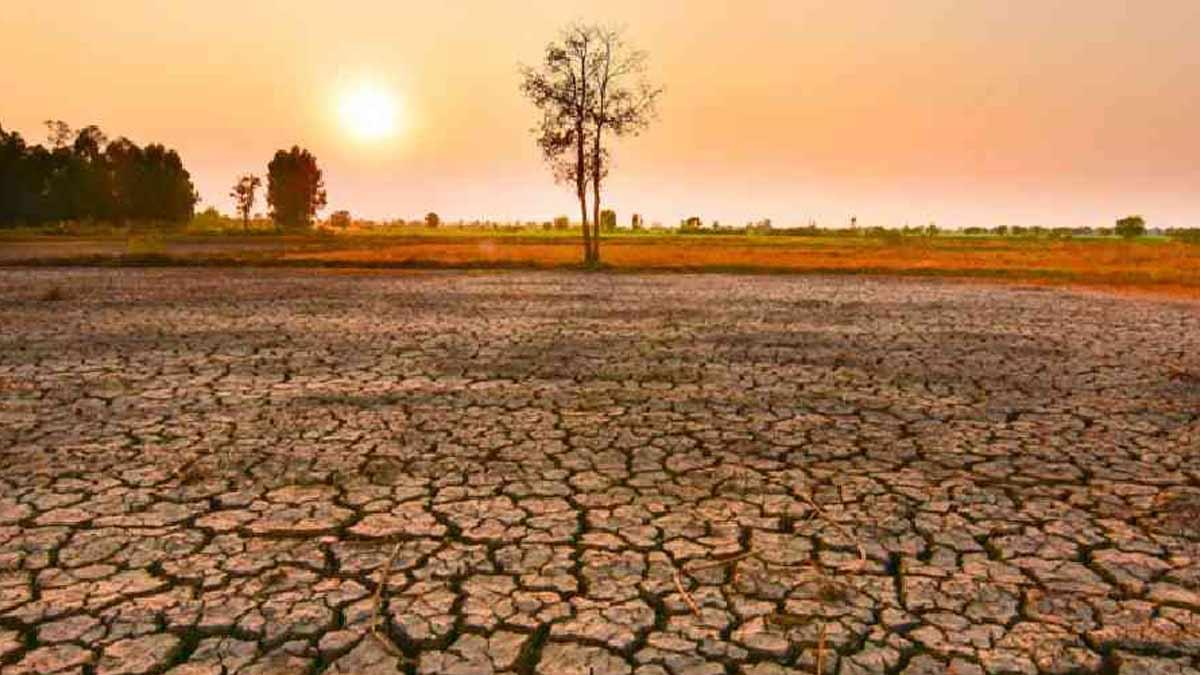 Record-Breaking Heatwave Grips Rajasthan: Churu Hits 50 Degrees, Pilani Swelters at 49 Degrees