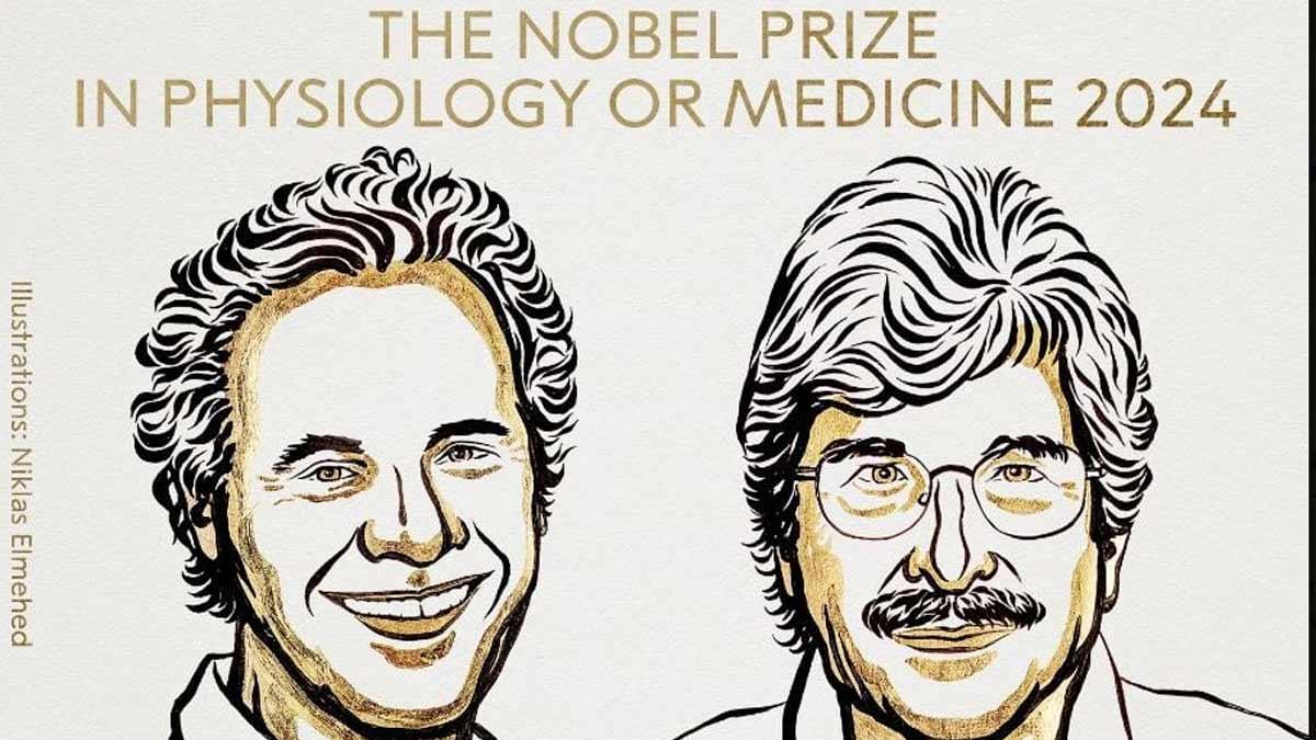 Nobel Prize in Physics 2024 Awarded to John J. Hopfield and Geoffrey E