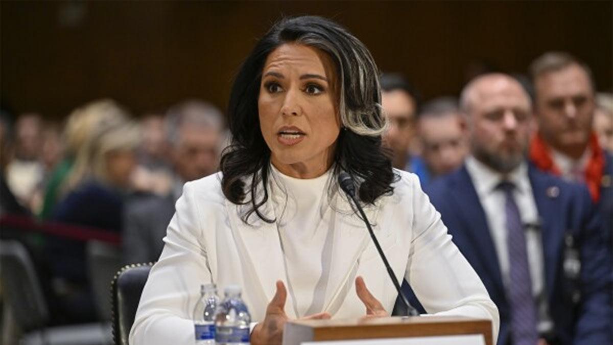 Tulsi-Gabbard