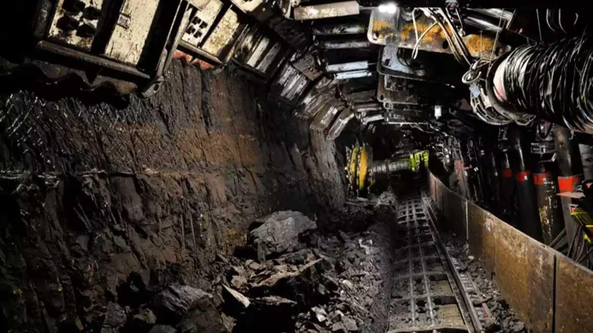 India Saves $6.93 Billion in Forex as Local Coal Production Reduces Imports in FY25