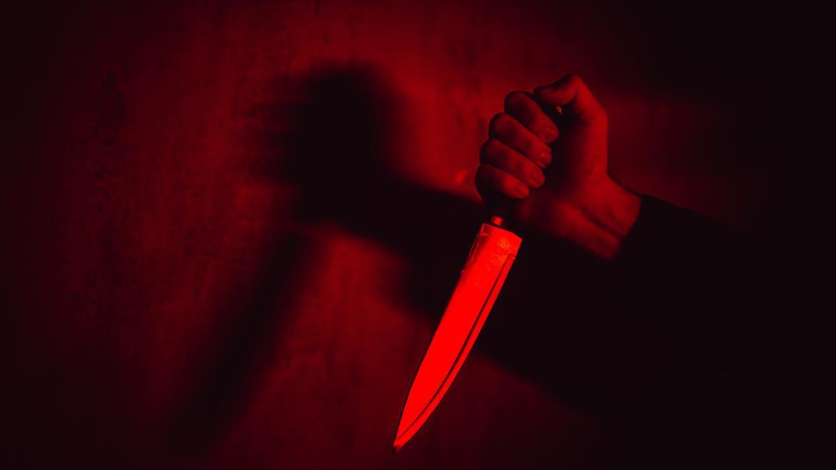 Indian Man Fatally Stabbed by Fellow Countryman on Public Bus in Texas