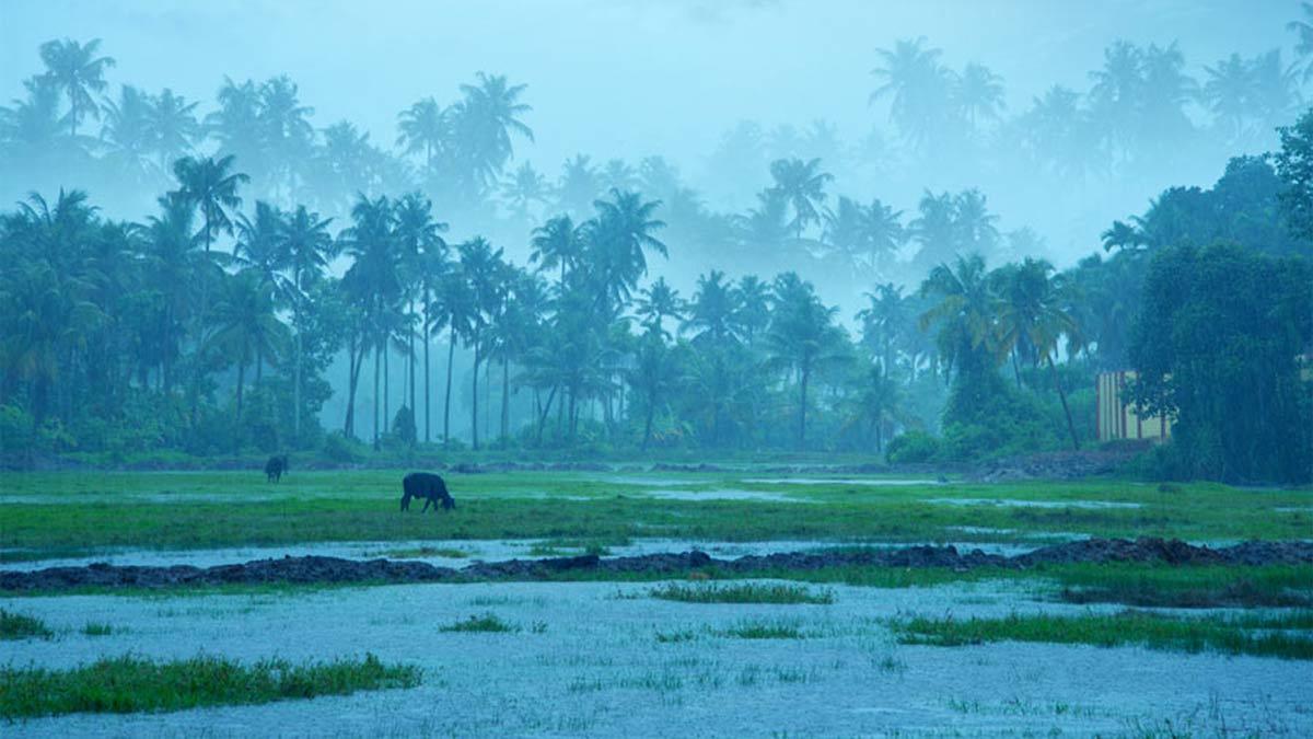 Monsoon Arrives Early in Kerala, Earliest Onset Since 2009: IMD