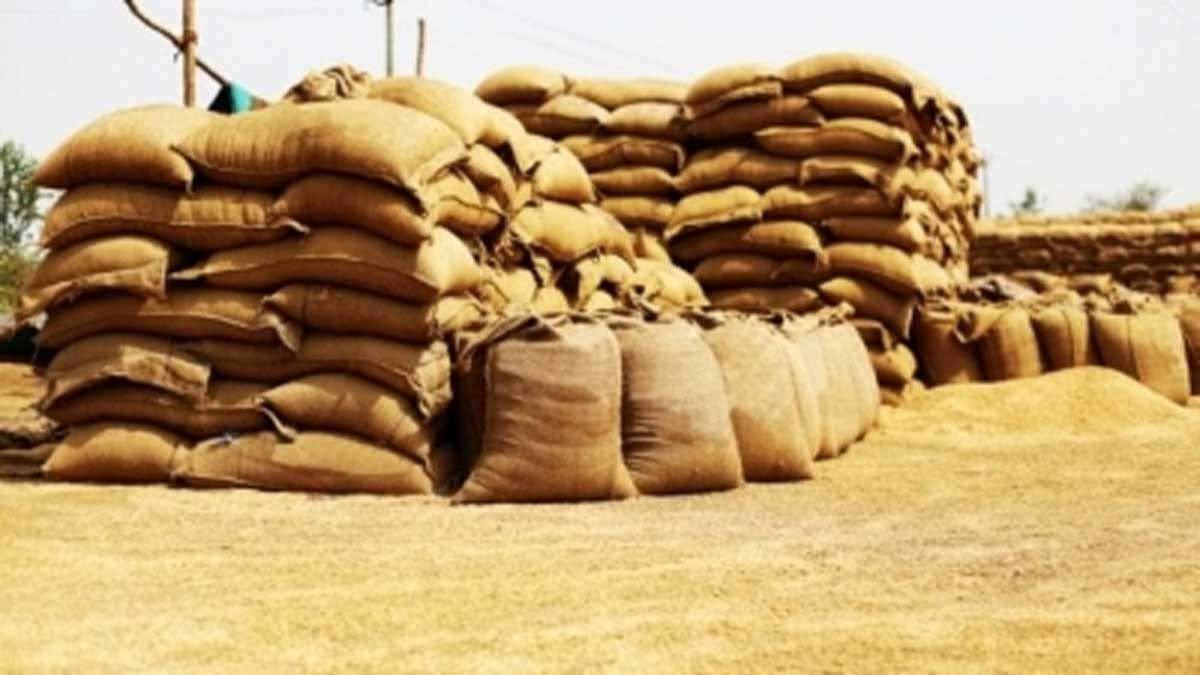 India's Foodgrain Output Surges 6.6% to Record 354 Million Tonnes in 2024–25