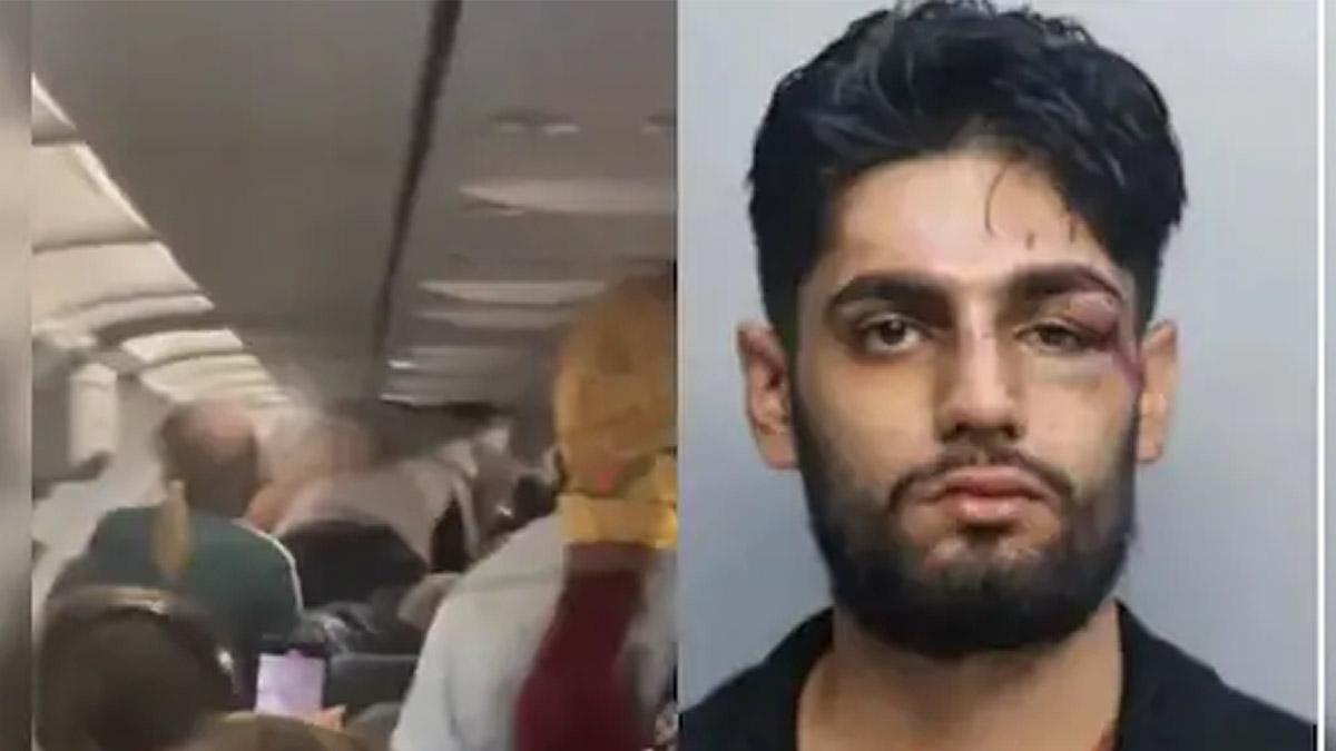 Watch| Indian-Origin Man Arrested in US for Mid-Flight Choking Incident