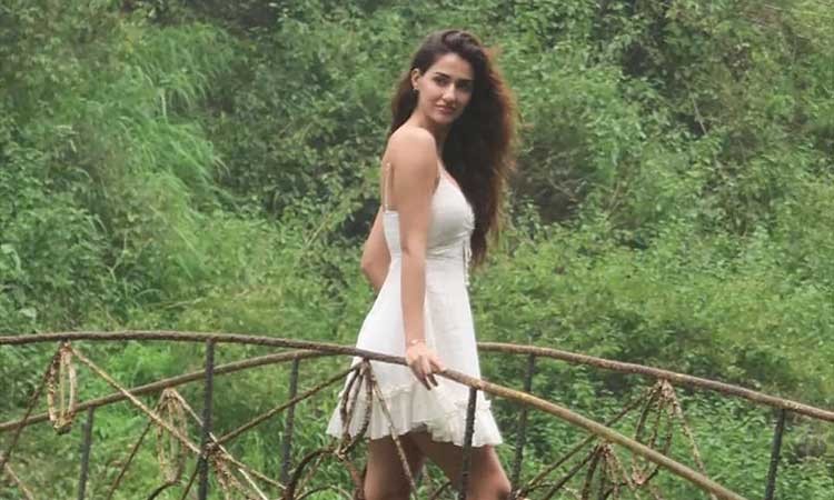 Disha Patani Sets Internet On Fire With Her Hot Photoshoot 